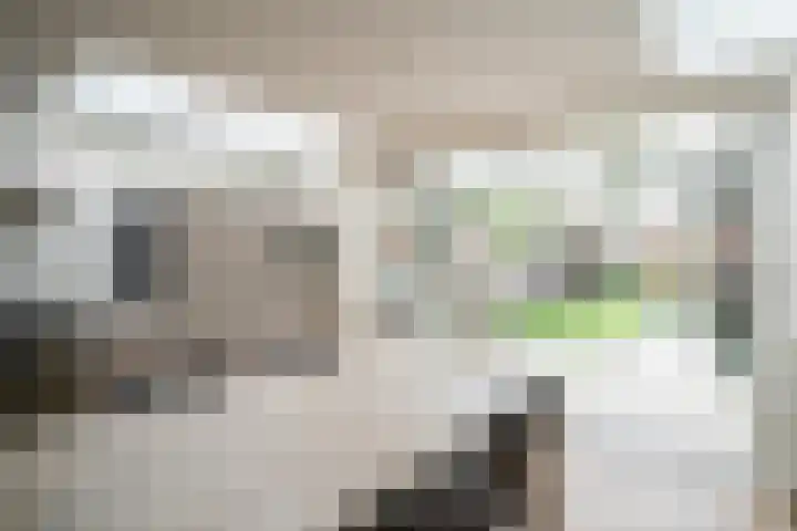 Ringbaan-Noord 32 Uden thumbnail 17