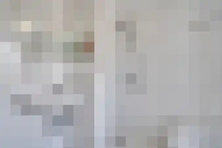 Ringbaan-Noord 32 Uden thumbnail 23