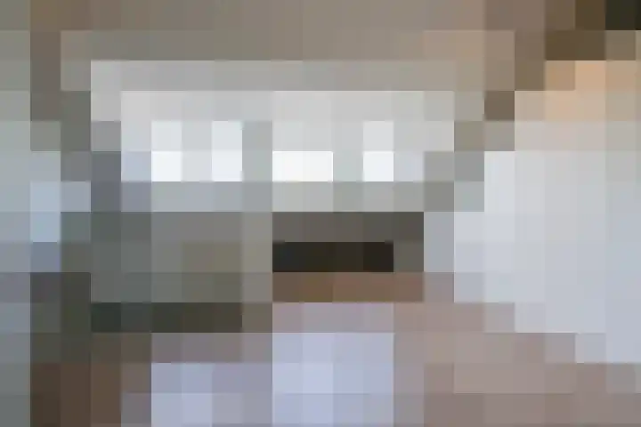 Ringbaan-Noord 32 Uden thumbnail 26