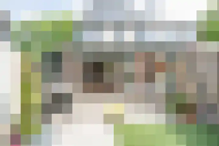 Ringbaan-Noord 32 Uden thumbnail 27