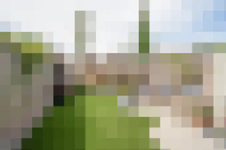 Ringbaan-Noord 32 Uden thumbnail 29