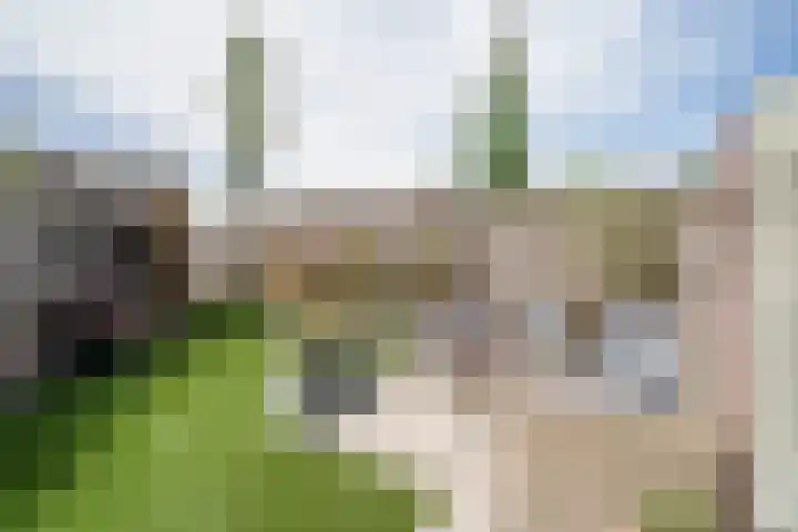 Ringbaan-Noord 32 Uden thumbnail 30
