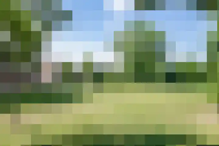 Ringbaan-Noord 32 Uden thumbnail 5