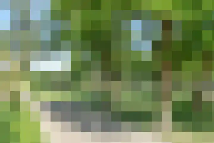 Ringbaan-Noord 32 Uden thumbnail 6