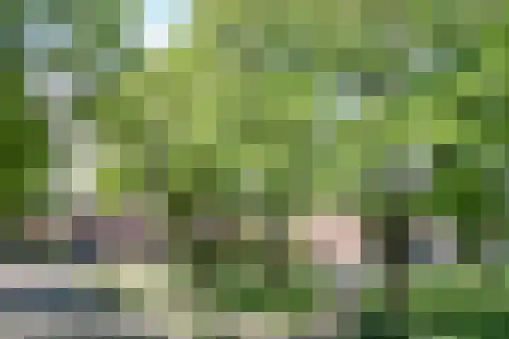 Ringbaan-Noord 32 Uden thumbnail 7