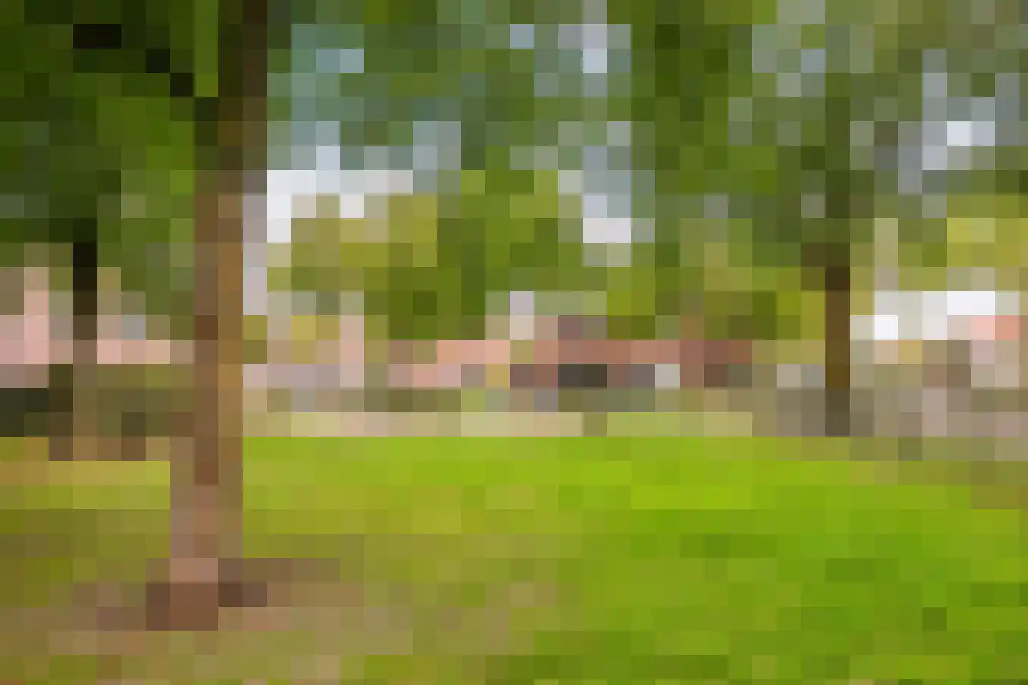 Ringbaan-Noord 34 Uden thumbnail 34