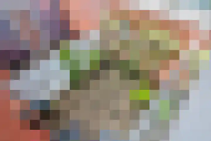 Ringbaan-Noord 96 Tilburg thumbnail 12