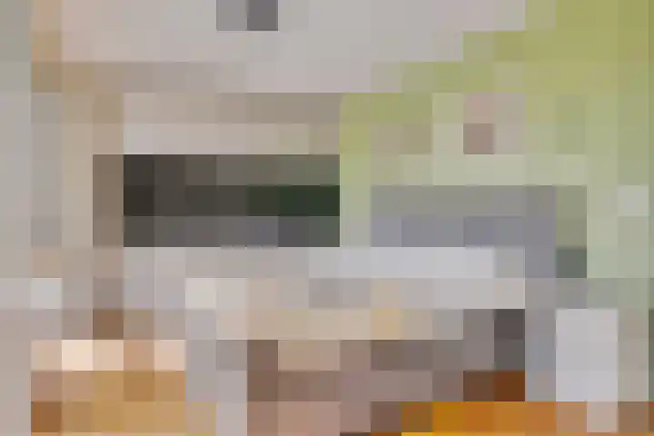 Ringbaan-Noord 96 Tilburg thumbnail 30