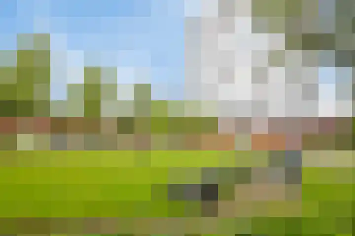 Ringbaan-Noord 96 Tilburg thumbnail 37