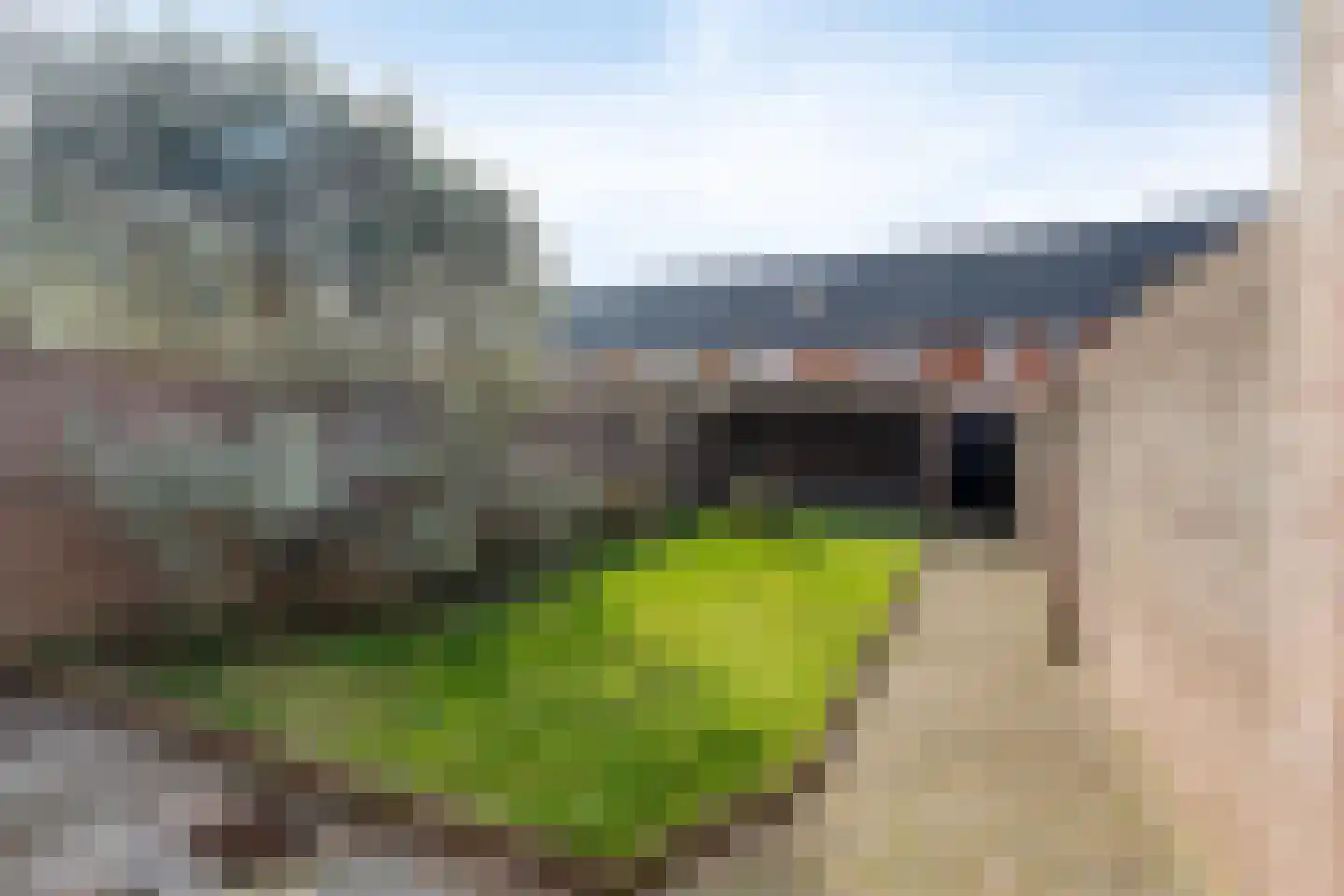 Ringbaan-Oost 161 Tilburg thumbnail 43