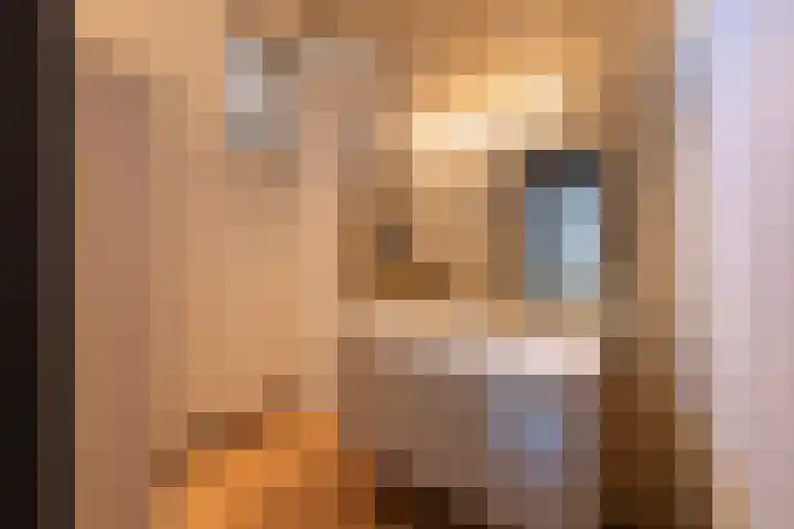 Ringbaan-Oost 178 Tilburg thumbnail 36