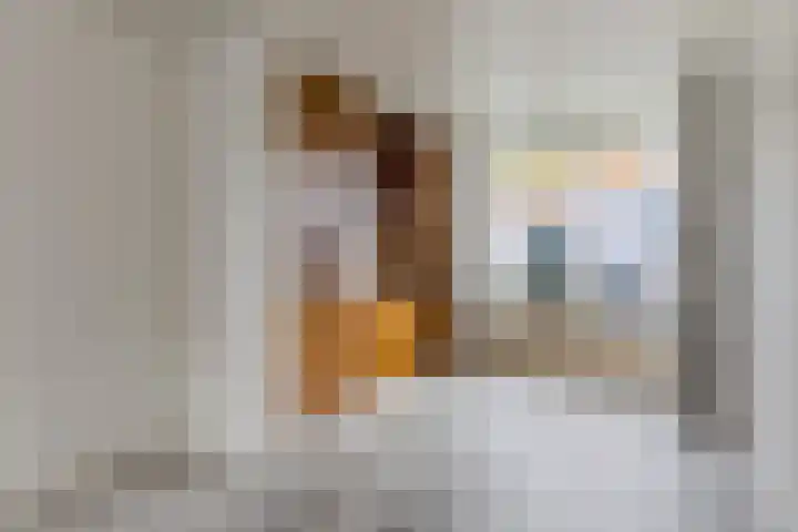 Ringbaan-Oost 24 Tilburg thumbnail 13