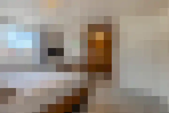 Ringbaan-Oost 24 Tilburg thumbnail 17