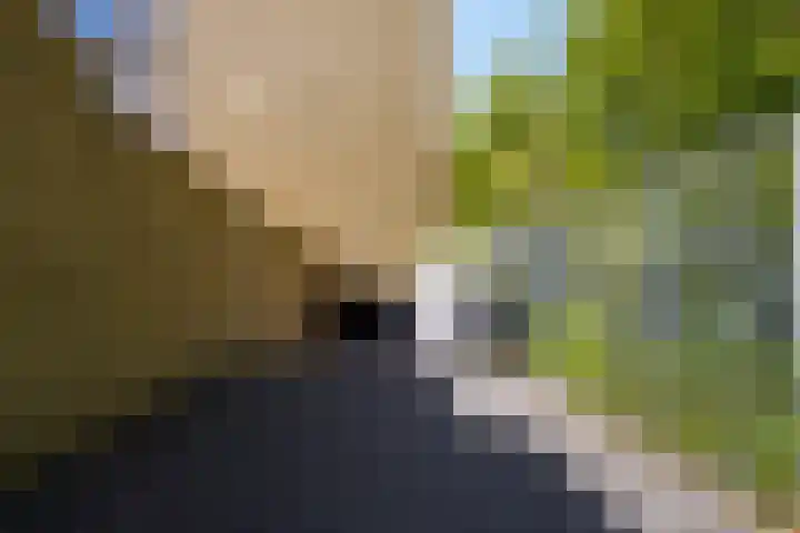 Ringbaan-Oost 240 50 Tilburg thumbnail 32