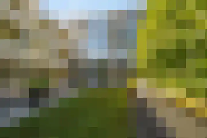 Ringbaan-Oost 240 50 Tilburg thumbnail 38