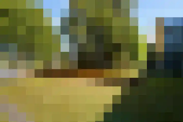 Ringbaan-Oost 240 50 Tilburg thumbnail 51