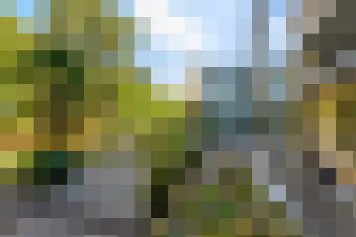 Ringbaan-Oost 240 50 Tilburg thumbnail 7