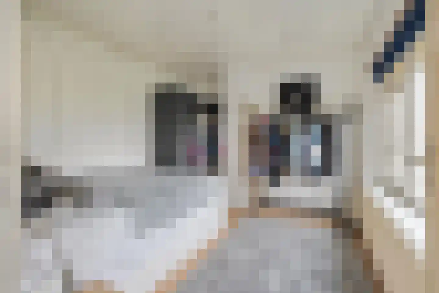 Ringbaan-Oost 267 Tilburg thumbnail 31