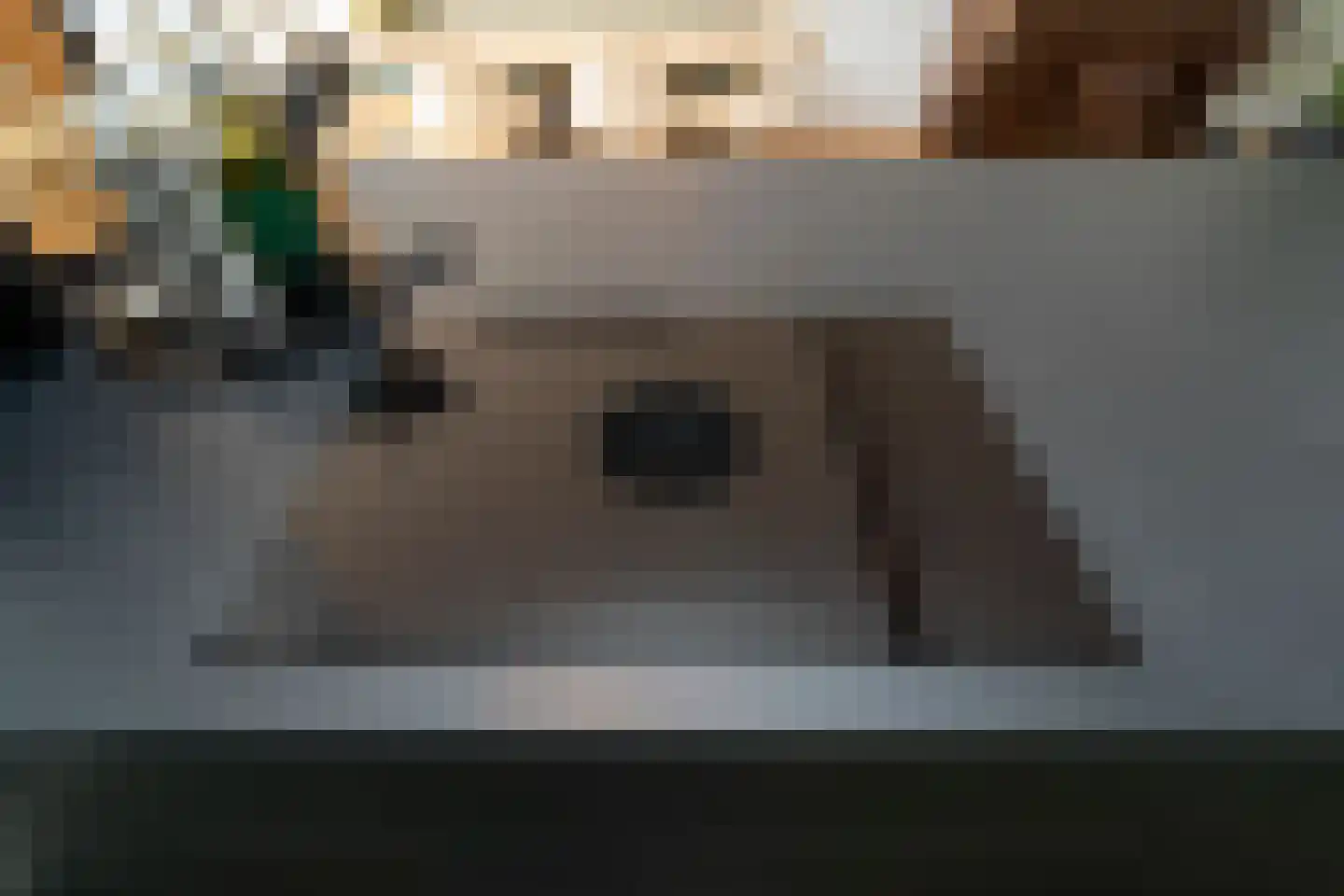 Ringbaan-Oost 365 Tilburg thumbnail 15