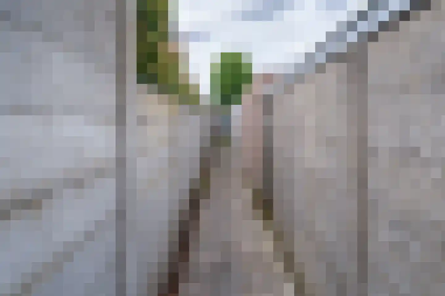 Ringbaan-Oost 365 Tilburg thumbnail 36