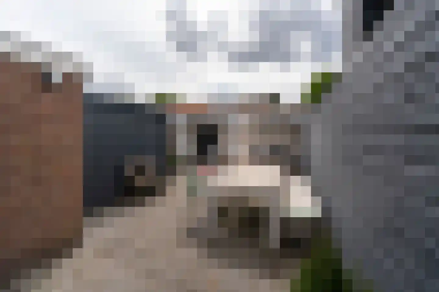 Ringbaan-Oost 365 Tilburg thumbnail 4