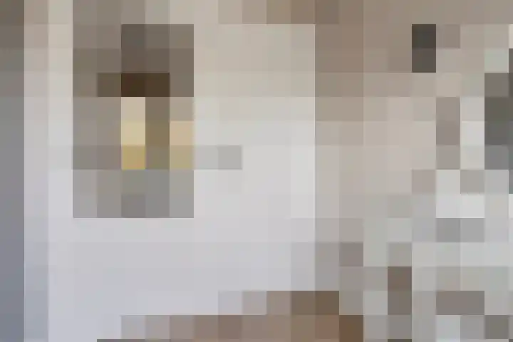 Ringbaan-Oost 379 Tilburg thumbnail 29