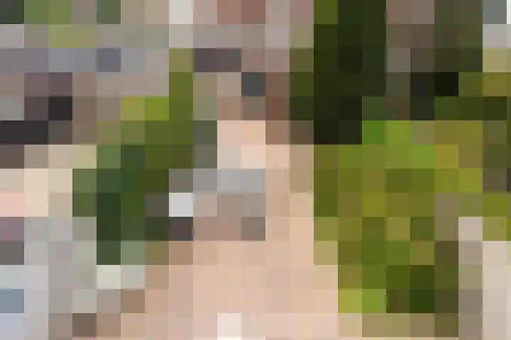 Ringbaan-Oost 391 Tilburg thumbnail 32