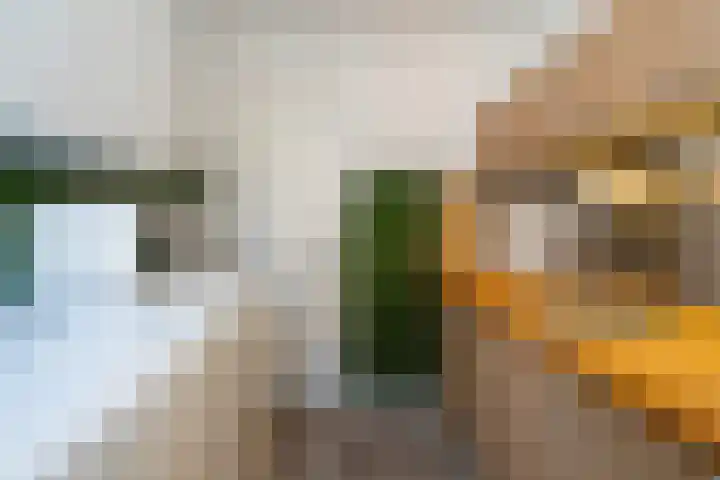 Ringbaan-Oost 401 Tilburg thumbnail 41