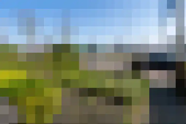 Ringbaan-Oost 401 Tilburg thumbnail 6