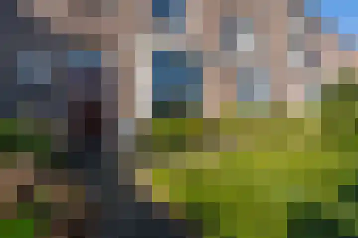 Ringbaan-Oost 401 Tilburg thumbnail 8