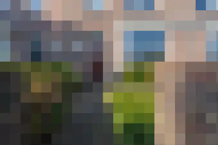 Ringbaan-Oost 401 Tilburg thumbnail 9