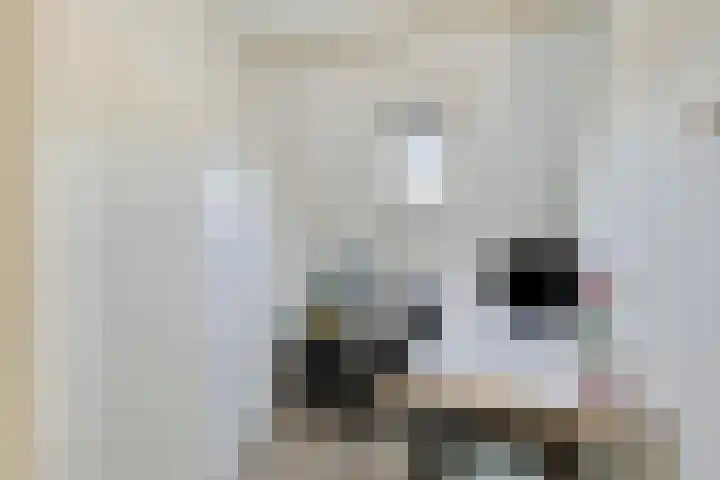 Ringbaan-Oost 46 Tilburg thumbnail 25