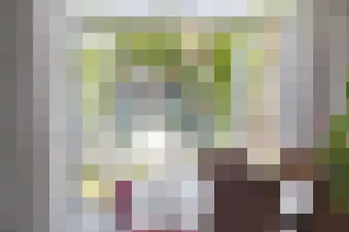 Ringbaan-Oost 46 Tilburg thumbnail 7