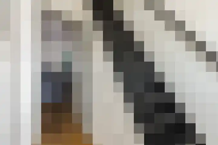Ringbaan-Oost 66 Tilburg thumbnail 13
