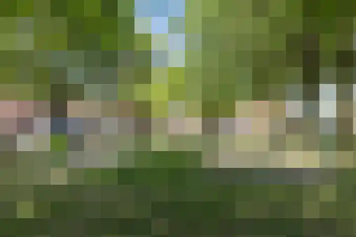 Ringbaan-Oost 66 Tilburg thumbnail 28