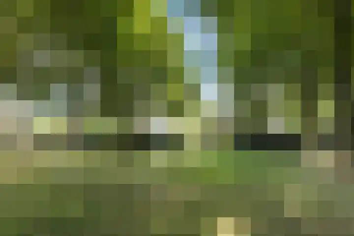 Ringbaan-Oost 66 Tilburg thumbnail 29