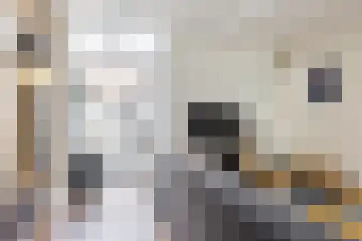 Ringbaan-Oost 66 Tilburg thumbnail 4