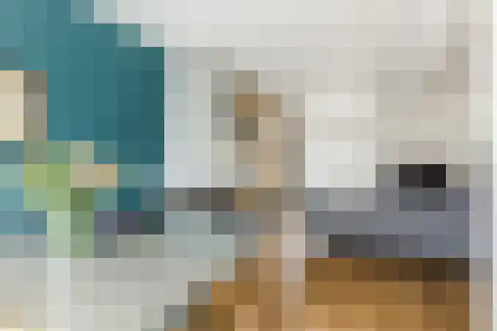 Ringbaan-Oost 66 Tilburg thumbnail 6