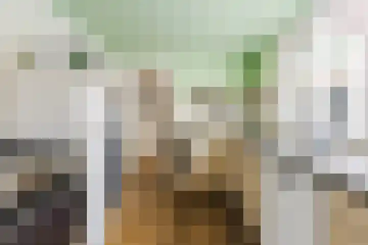 Ringbaan-Oost 66 Tilburg thumbnail 9