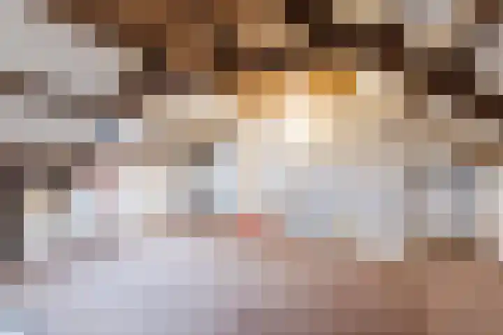 Ringbaan-Oost 82 Tilburg thumbnail 29