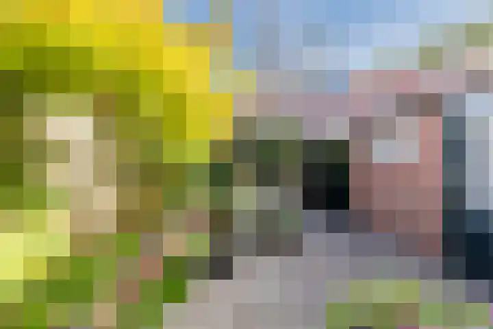 Ringbaan-Oost 82 Tilburg thumbnail 31