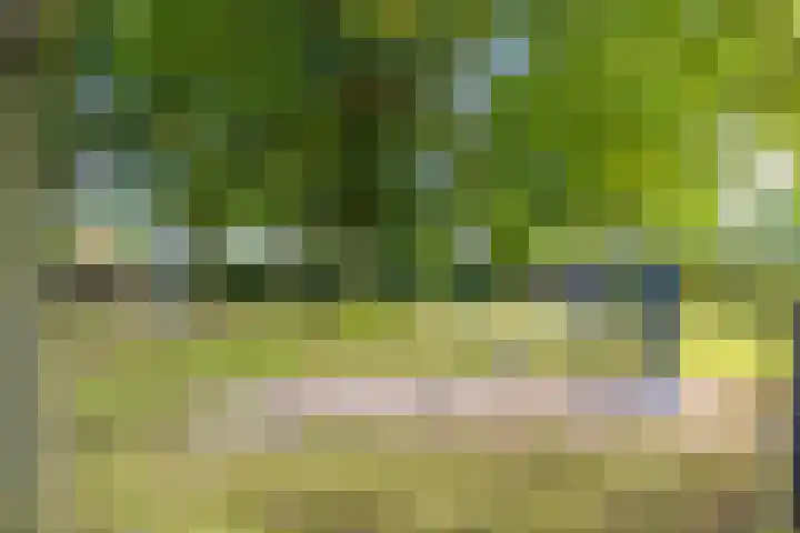 Ringbaan-Oost 82 Tilburg thumbnail 34