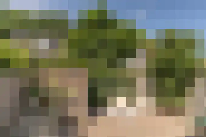 Ringbaan-West 157 Tilburg thumbnail 70