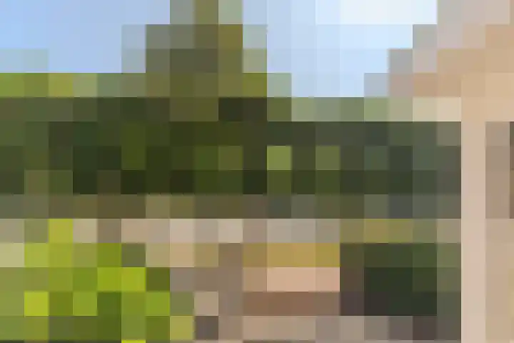 Ringbaan-West 157 Tilburg thumbnail 76