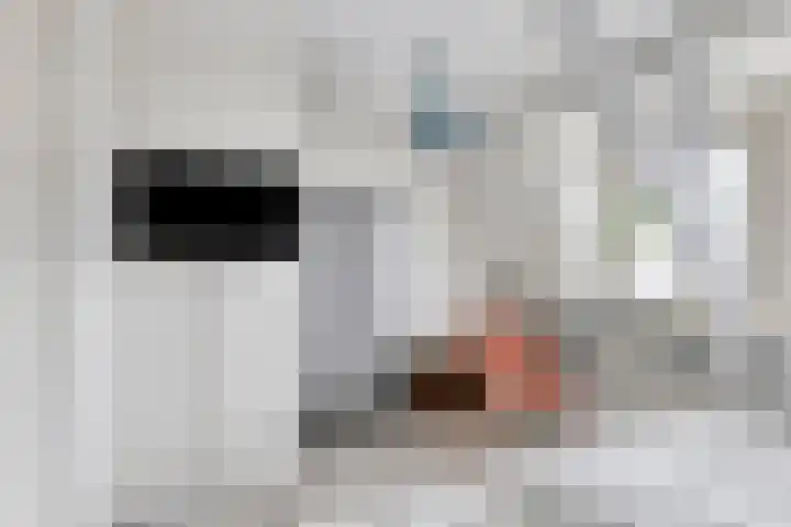 Ringbaan-West 213 Tilburg thumbnail 16