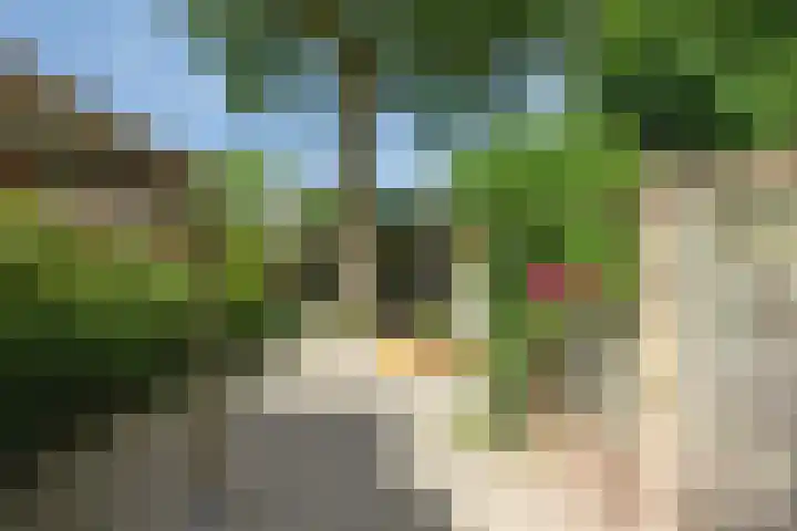 Ringbaan-West 213 Tilburg thumbnail 22