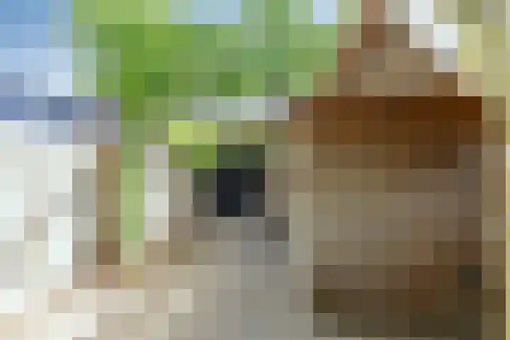 Ringbaan-West 213 Tilburg thumbnail 23