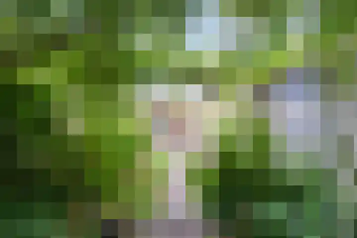 Ringbaan-West 213 Tilburg thumbnail 25