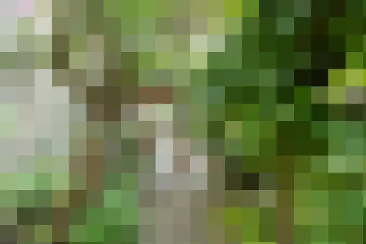 Ringbaan-West 213 Tilburg thumbnail 27