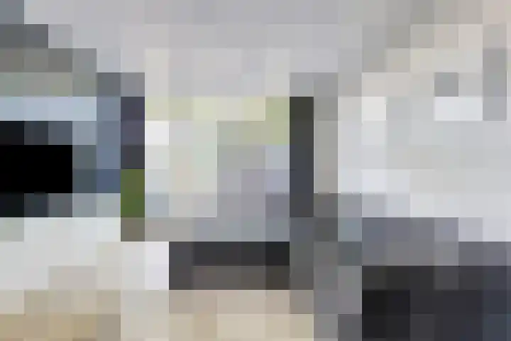 Ringbaan-West 213 Tilburg thumbnail 4